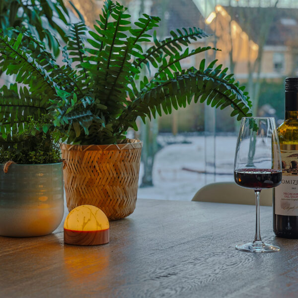Een wijnglas en een fles rusten op een houten tafel naast het gloeiende Tafellamp DORSETTO oplaadbaar 105 uur (waterdicht, marmer goud, met afstandsbediening), met twee potplanten en een tuin gezien door grote ramen op de achtergrond.