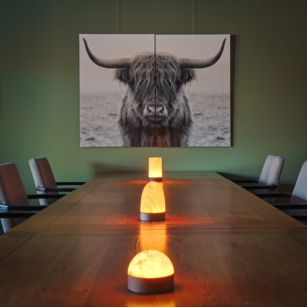 Een houten tafel met drie gloeiende Tafellamp DORSETTO oplaadbaar 105 uur (waterdicht, marmer groen houtlook, met afstandsbediening) lampen wordt omringd door stoelen. Daarachter zorgt een zwart-wit highland koeienzeil voor een rustige, moderne vibe.